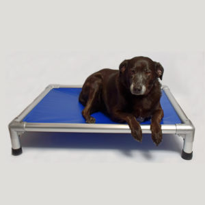 lit pour chien indestructible résistant incassable kumbow